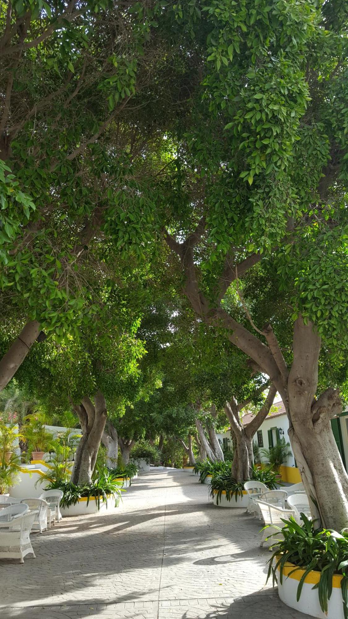 Cortijo San Ignacio Hotel El Cortijo  Luaran gambar